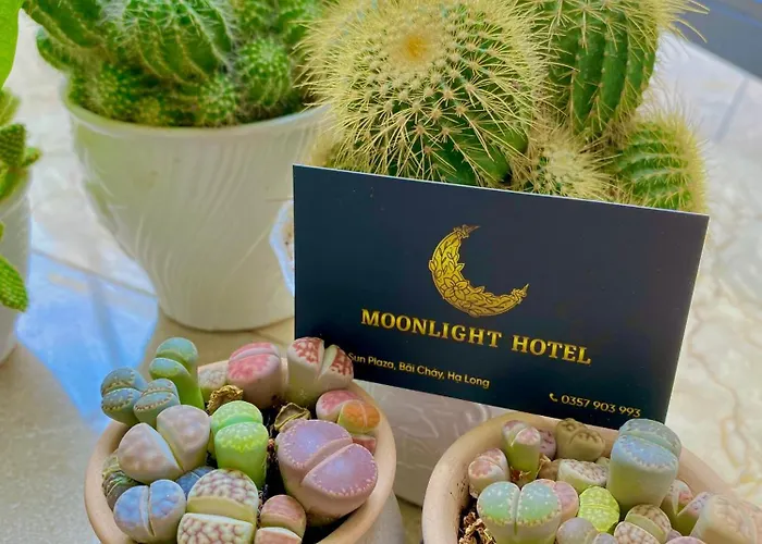 Moonlight Hạ Long
